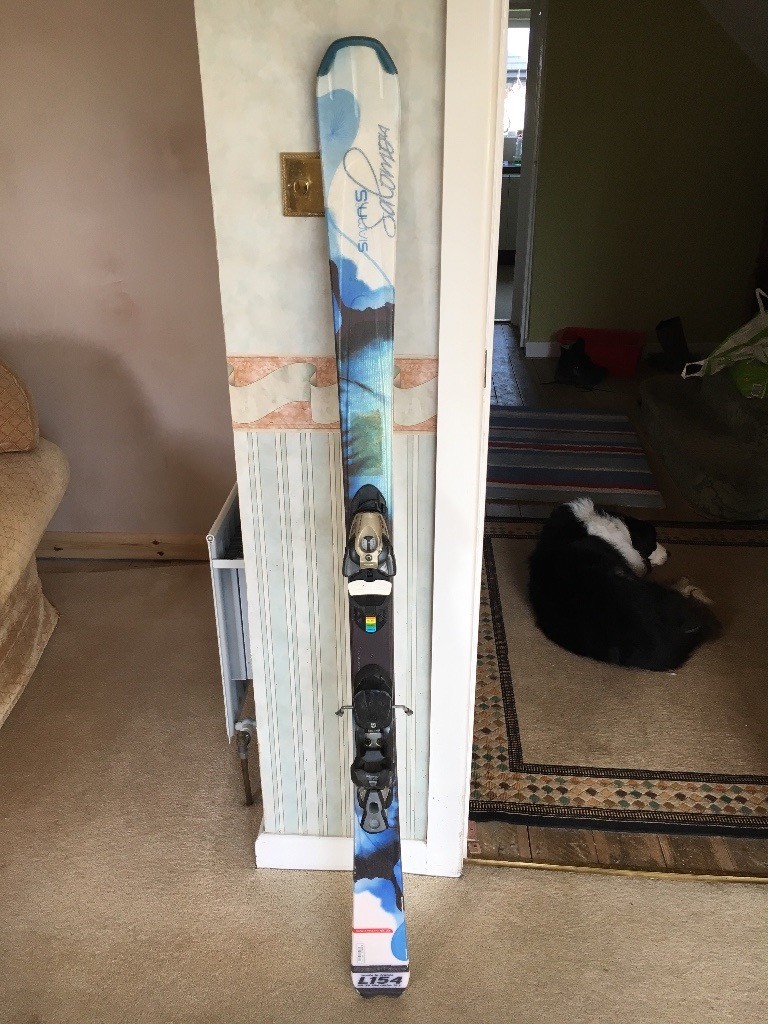 salomon spaceframe skis